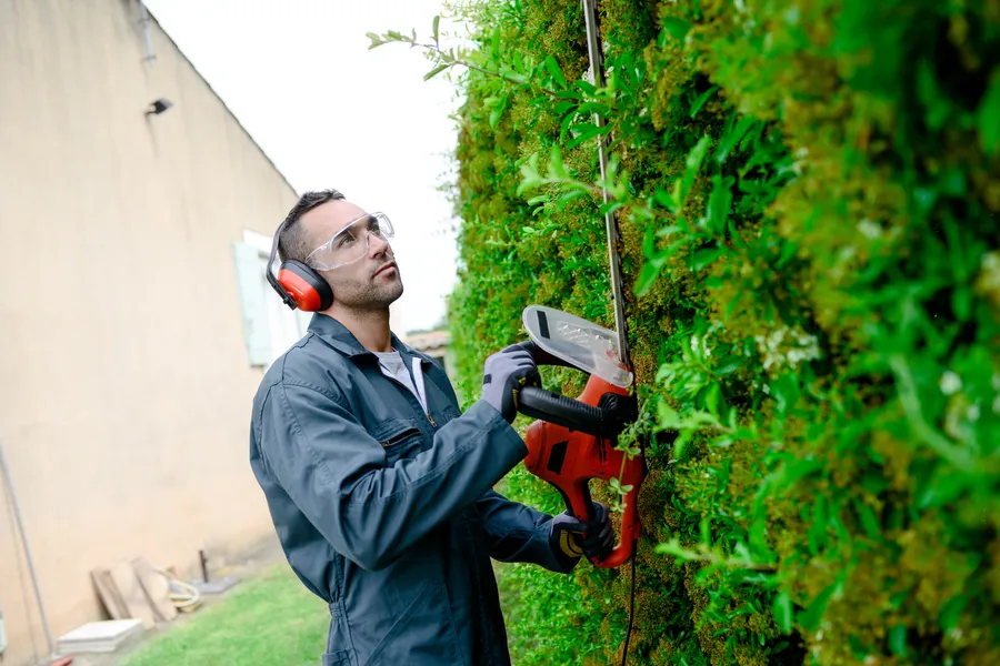 How Bush Trimming Enhances Sunlight Exposure For Plants in Bellingham, WA How Bush Trimming Enhances Sunlight Exposure For Plants in Bellingham, WA