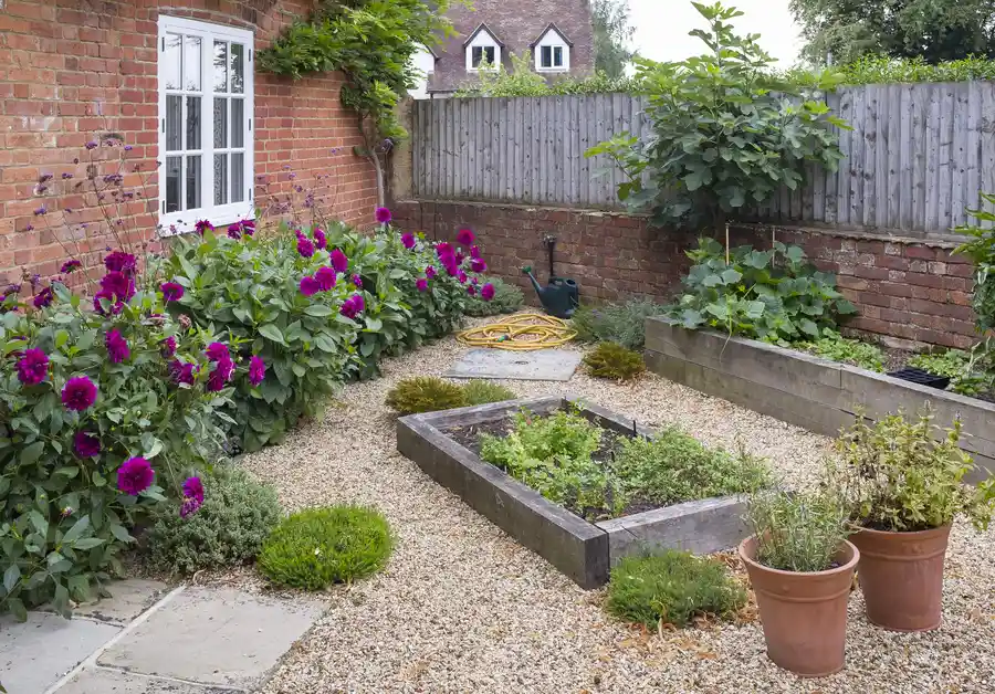 How To Choose Plants For A Small Backyard Landscape Bellingham, WA How To Choose Plants For A Small Backyard Landscape Bellingham, WA