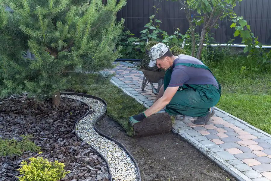 How To Choose Plants For A Small Backyard Landscape in Bellingham, WA How To Choose Plants For A Small Backyard Landscape in Bellingham, WA