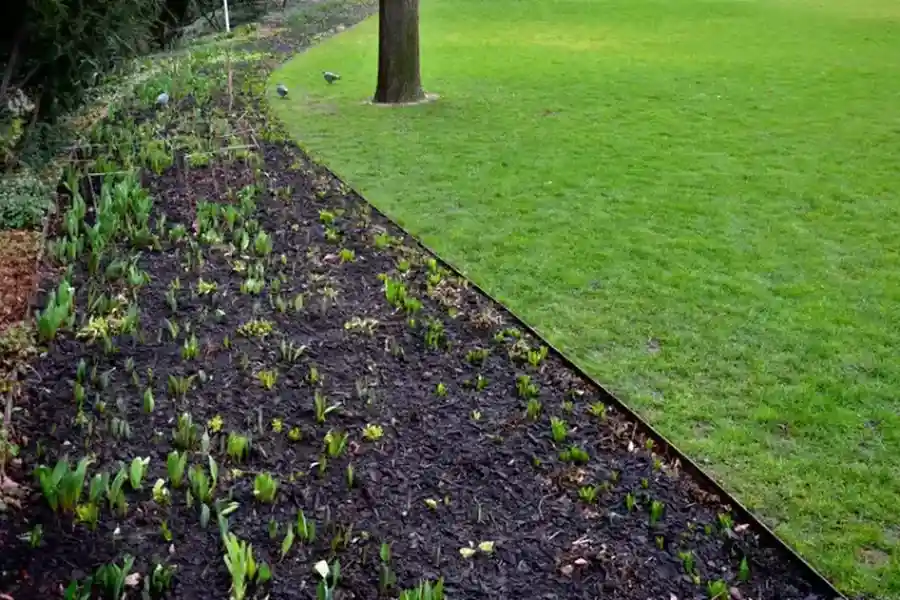 Local Landscape Edging Bellingham, WA Local Landscape Edging Bellingham, WA