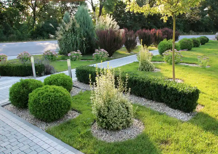 Maximizing Space With Smart Small Backyard Landscaping in Bellingham, WA Maximizing Space With Smart Small Backyard Landscaping in Bellingham, WA