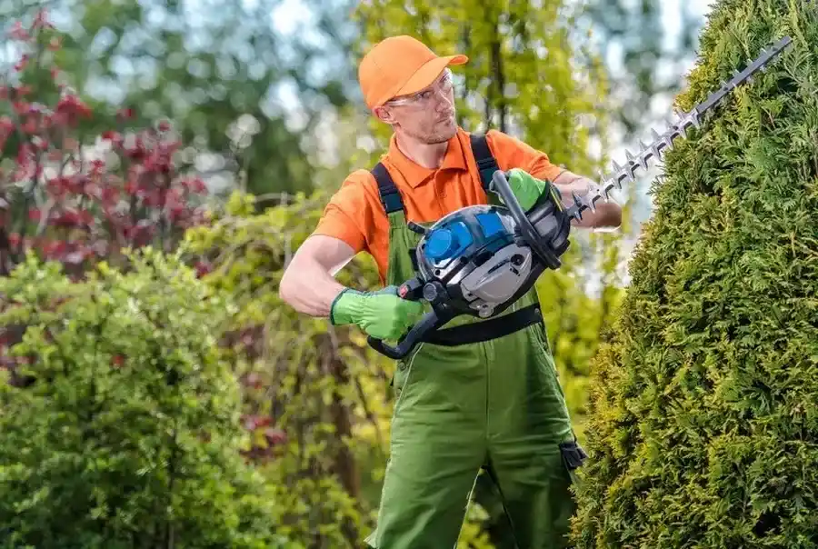 Should You Hire A Professional For Bush Trimming Services Bellingham, WA Should You Hire A Professional For Bush Trimming Services Bellingham, WA