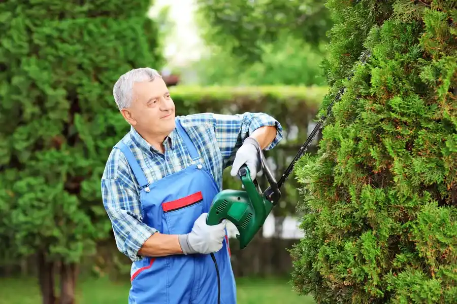 Superior Bush Trimming Bellingham, WA Superior Bush Trimming Bellingham, WA
